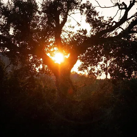 Ferienhaus Liberamente - Trulli&quiete Locorotondo